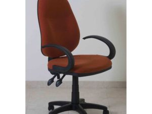 ניצן ידיות קשת